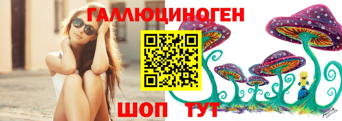 Ленинск-Кузнецкий  Галлюциногенные грибы Psilocybe  где купить   Вход с VPN 